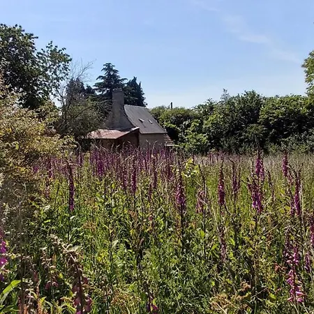 Remote Normandy * Le Mesnil-Gilbert