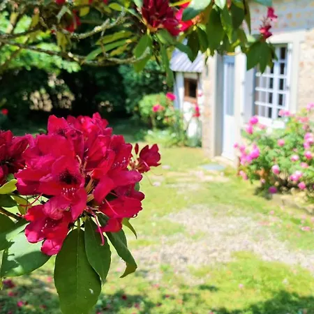 Remote Normandy *