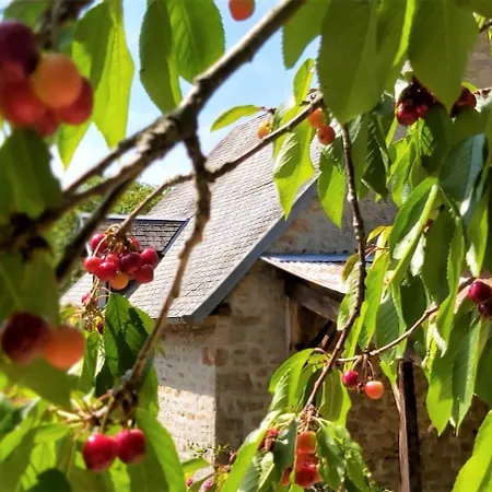 Remote Normandy Chalet *